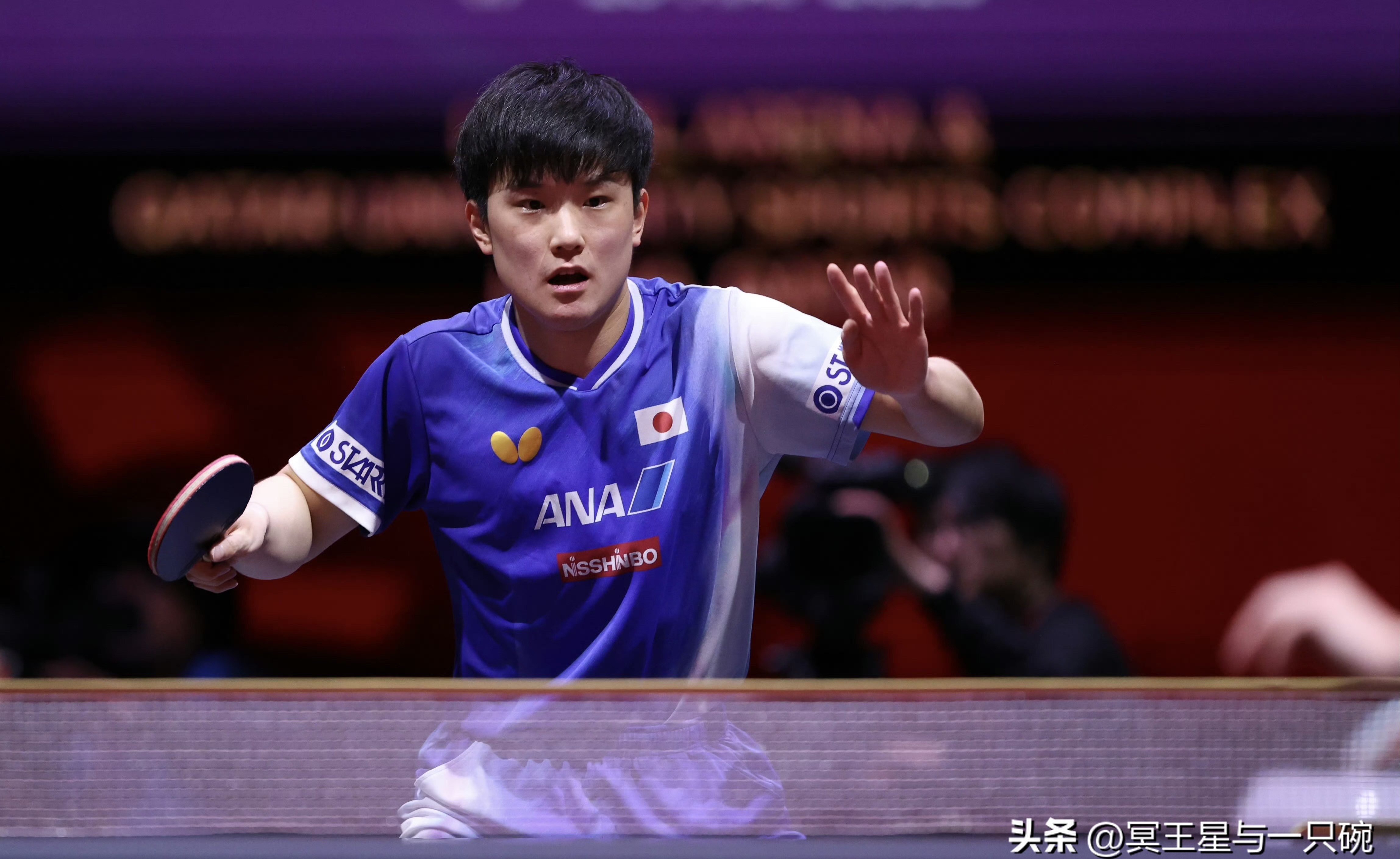 葡萄牙队力克英格兰队,张本智和高光表现的简单介绍 葡萄牙队力克英格兰队,张本智和高光表现的简单介绍