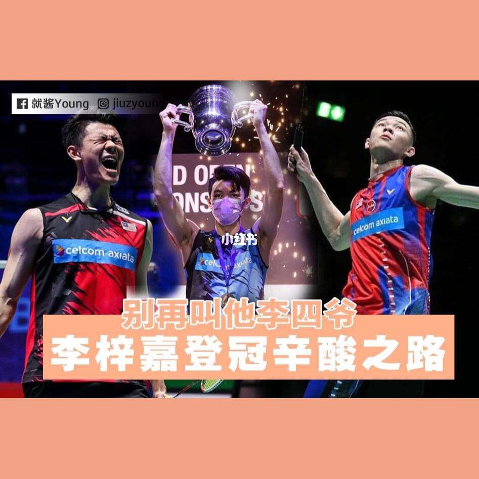 丹麦队绝杀德国队，李梓嘉扛起全队