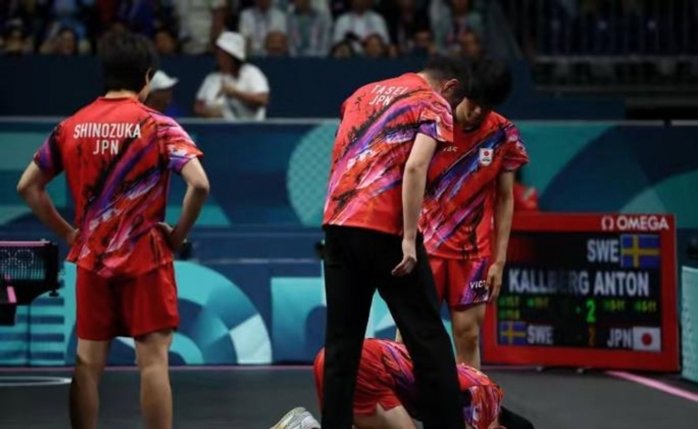 法国队横扫英格兰队，张本智和扛起全队